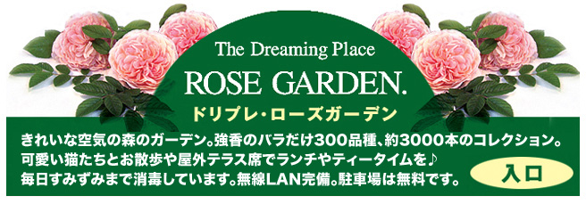 バラ園の中の英国アンティーク雑貨のお店 ドリプレshop バラ園の中の英国アンティーク雑貨のお店 ドリプレshop